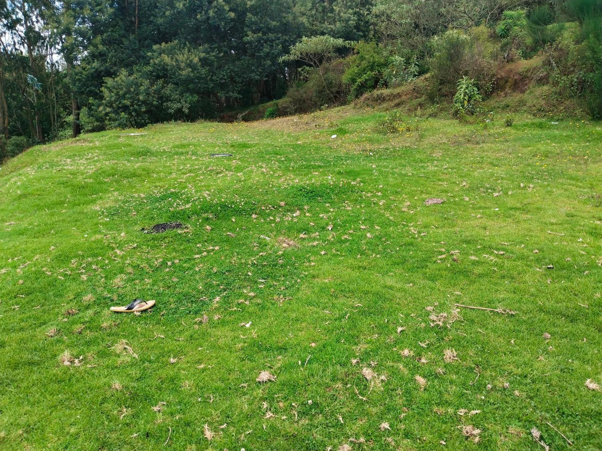 Bs Dreamz Ooty Apartment Bagian luar foto